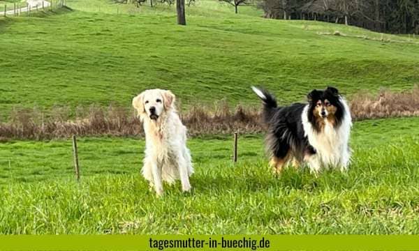 Tagesmutter in Büchig | Tagesmutter in Stutensee | Unsere Hunde Ashira und Yanara
